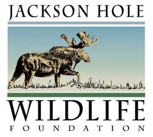Jackson Hole Wildlife Foundation