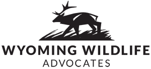 Wyoming Wildlife Advocates