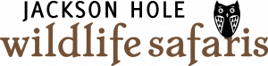 Jackson Hole Wild Safaris